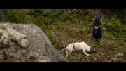 Волк и лев / Le loup et le lion / The Wolf and the Lion (2021) BDRemux 1080p от селезень | D